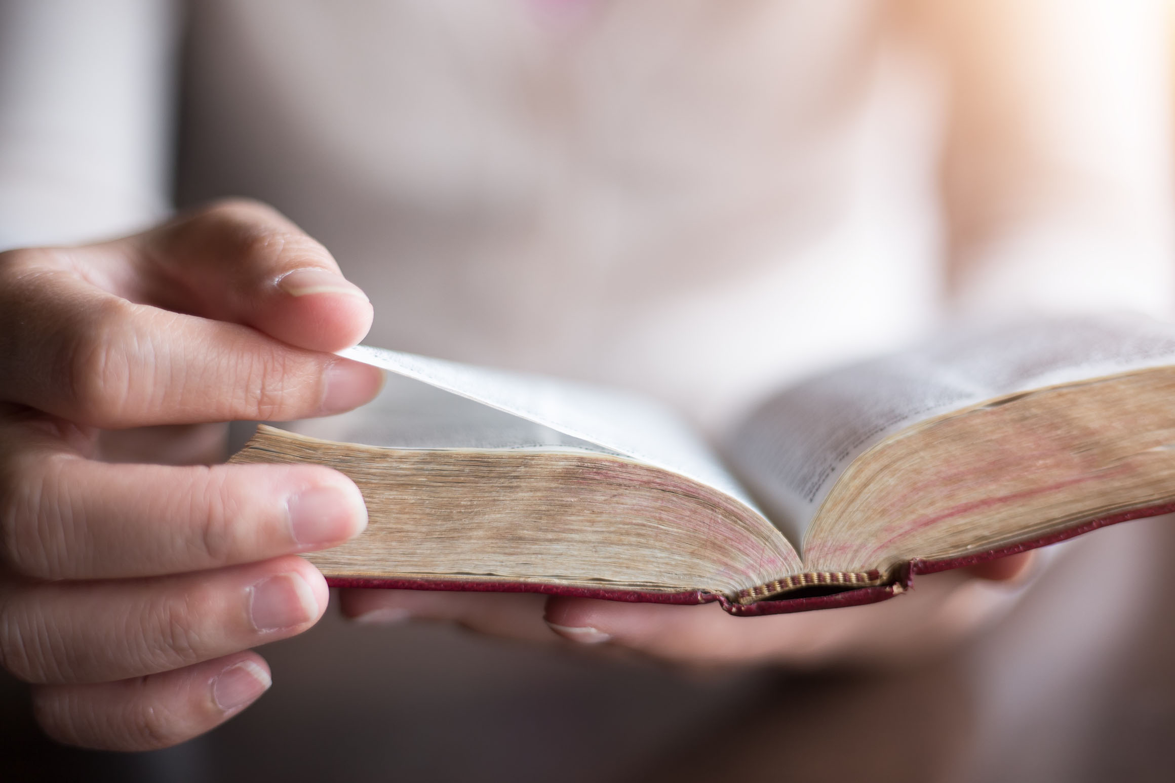 How Reading The Bible Can Change Your Outlook On Life In 2023 Pope 